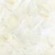 Design sans titre (9)