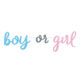 guirlande-boy-or-girl-213-cm